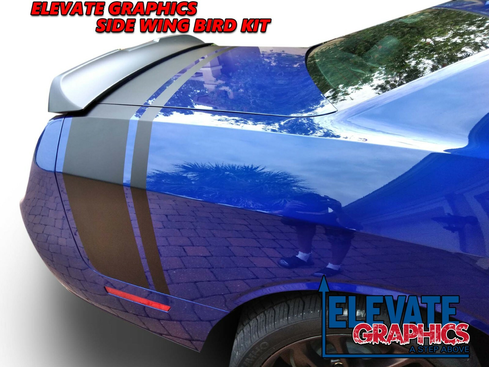 For Dodge Challenger Graphics Side Wing Bird Vinyl Stripes 3m Decals 2011-2023