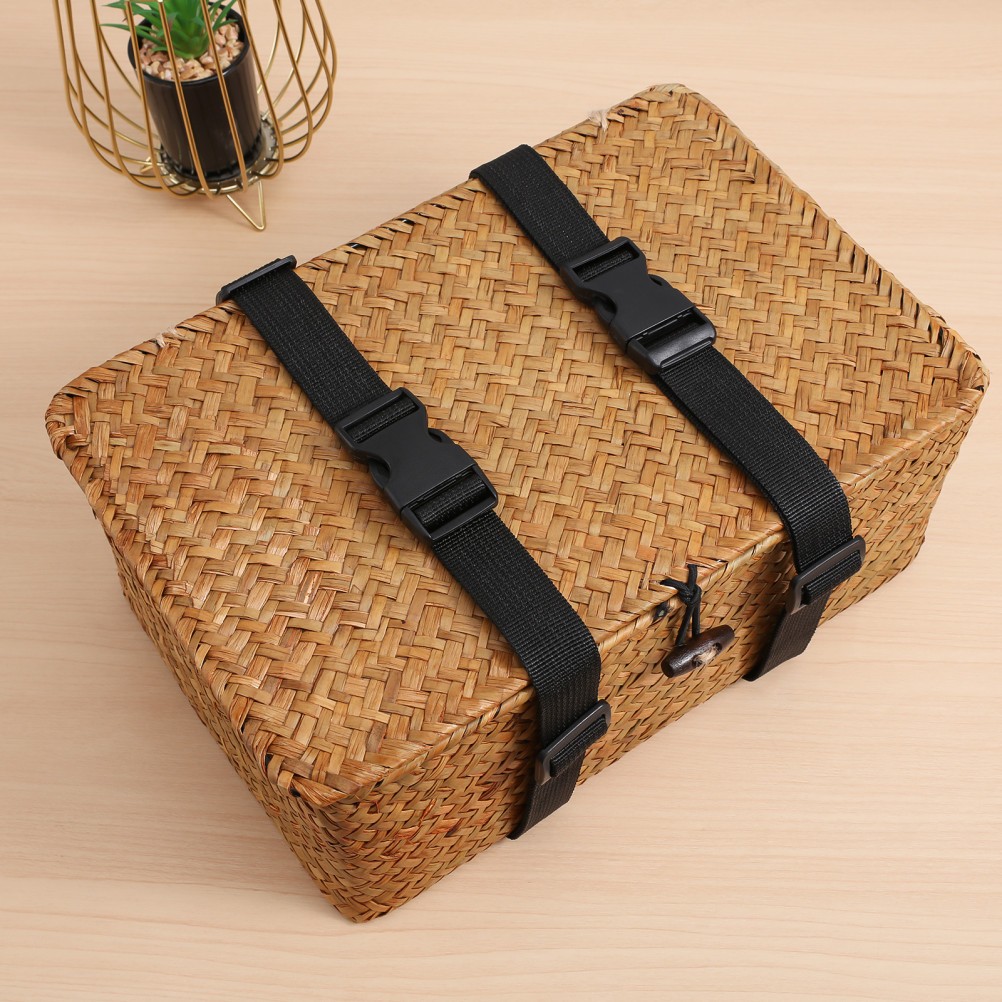 2Pcs Adjustable Black Lashing Straps with Buckle for Cargo and Luggage