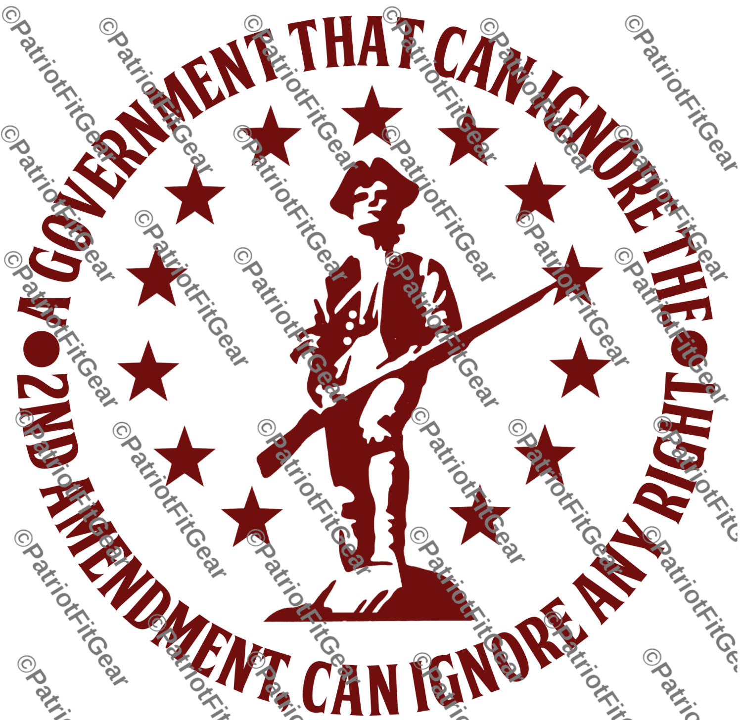Gun Rights,A Government That Ignores,2nd Amendment,Minuteman,Molon Labe,Decal