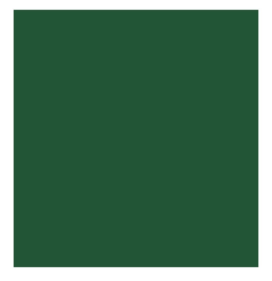 DupliColor Perfect Match Spray Paint GM Emerald Green (M) 43 WA159A 43 WA177B