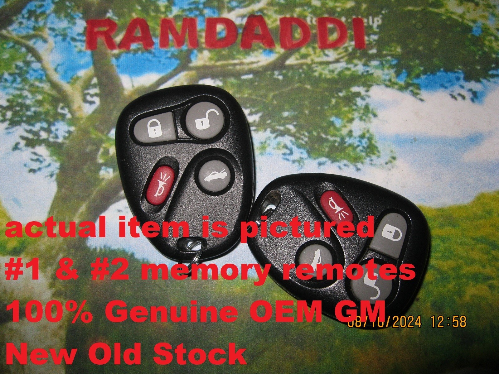 2 NEW 100% OEM GM Driver #1 & #2 Fob Remote Transmitter 01/04 Corvette 04/06 SSR
