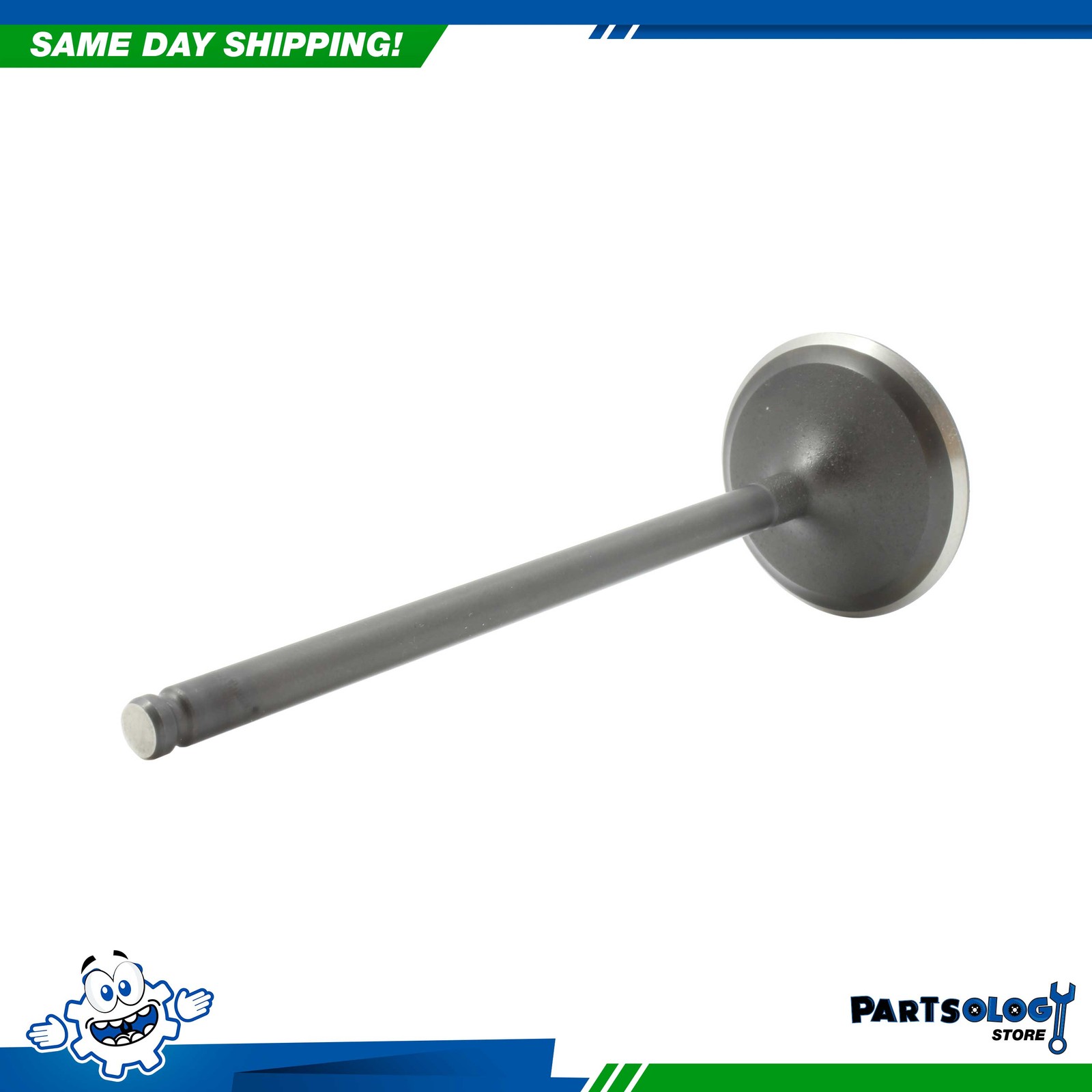 DNJ IV242 Intake Valve For 08-15 Acura Honda Accord Civic 2.4L L4 DOHC 16v