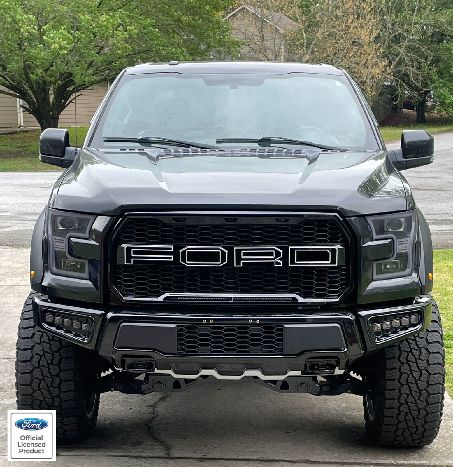 15-2020 Ford F-150 Paramount Aftermarket Grille Letter outline Vinyl Decals F150