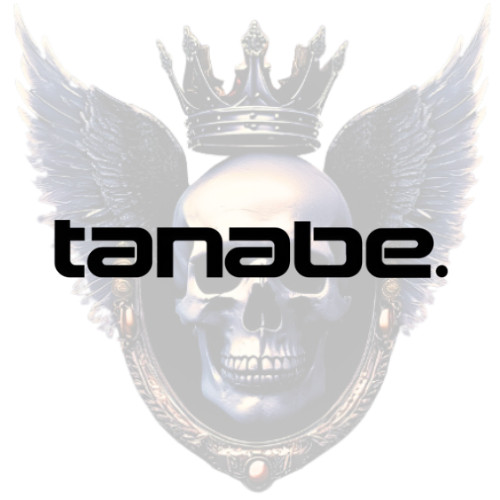 Tanabe Inspired Premium Vinyl Decal (x2) Tuner Car Culture Sticker Laptop Window