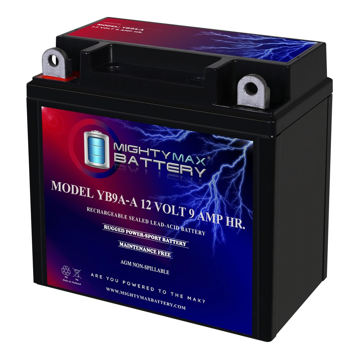 Mighty Max Battery YB9A-A -12 Volt 9 AH, 130 CCA, Standard, Black