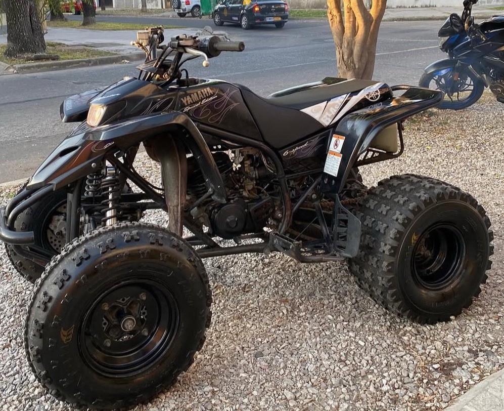 Yamaha Blaster 2006 Special Edition Graphics Decals ?