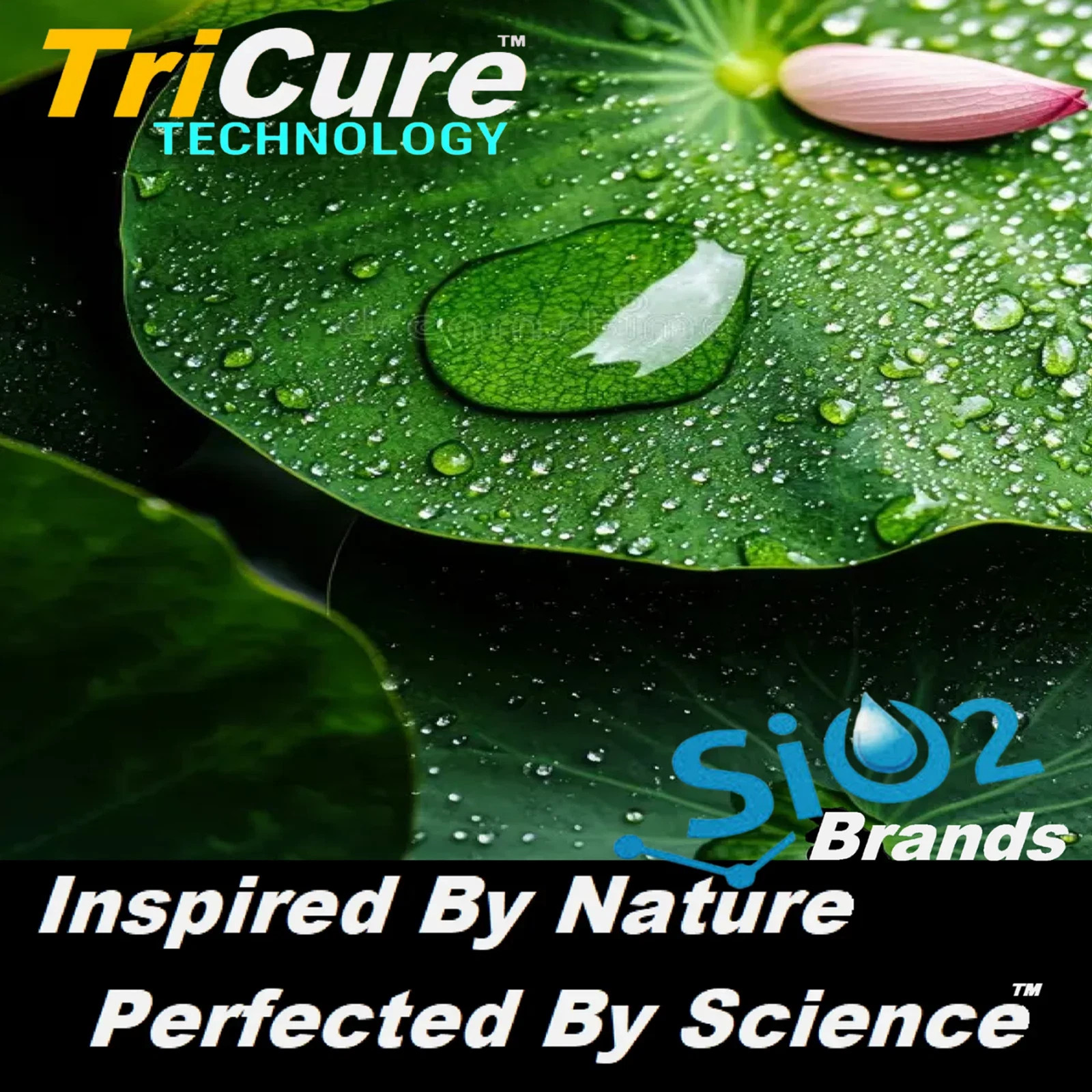 CERAMIC CAR COATING TRICURE TECHNOLOGY DIAMOND SHINE PAINT PROTECTION