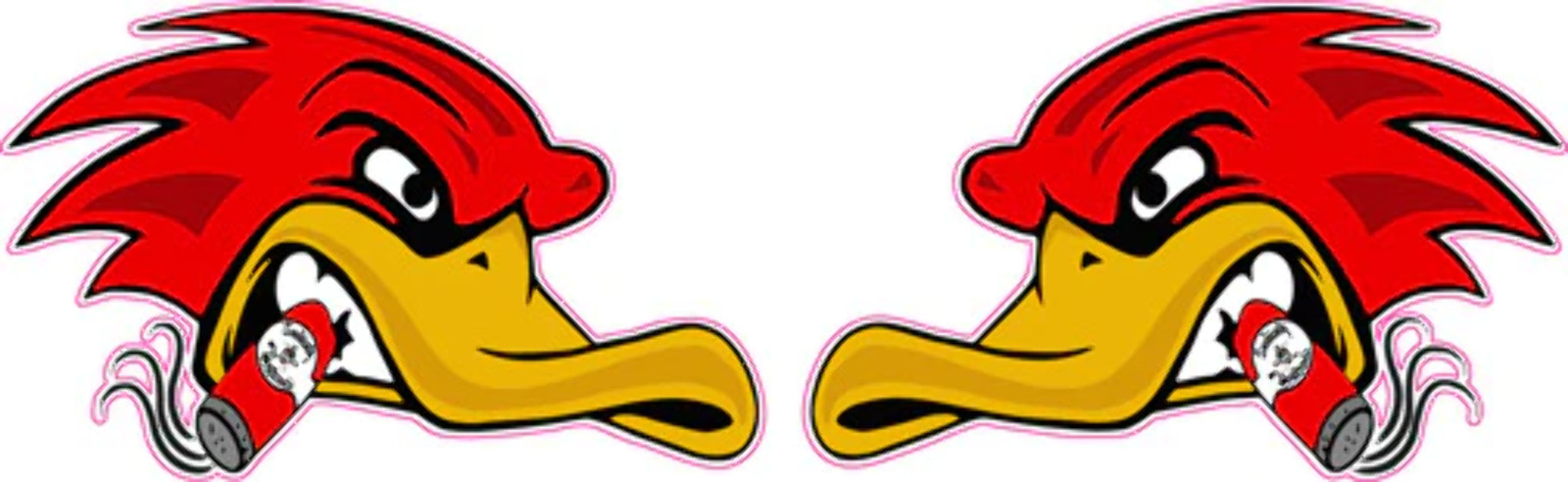 Hotrod Birds Decal