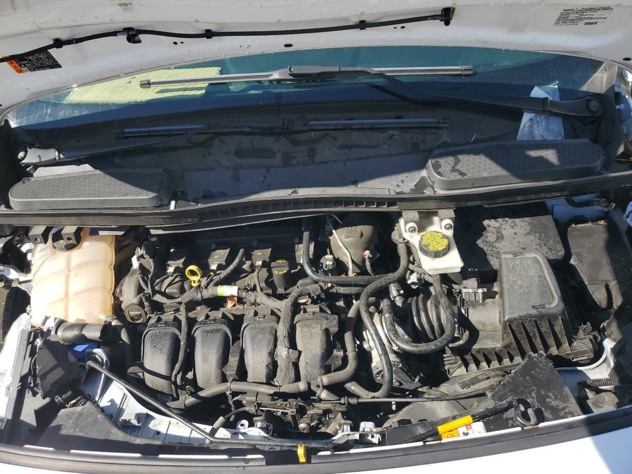 TRANSCNCT 2019 Glove Box 2413005