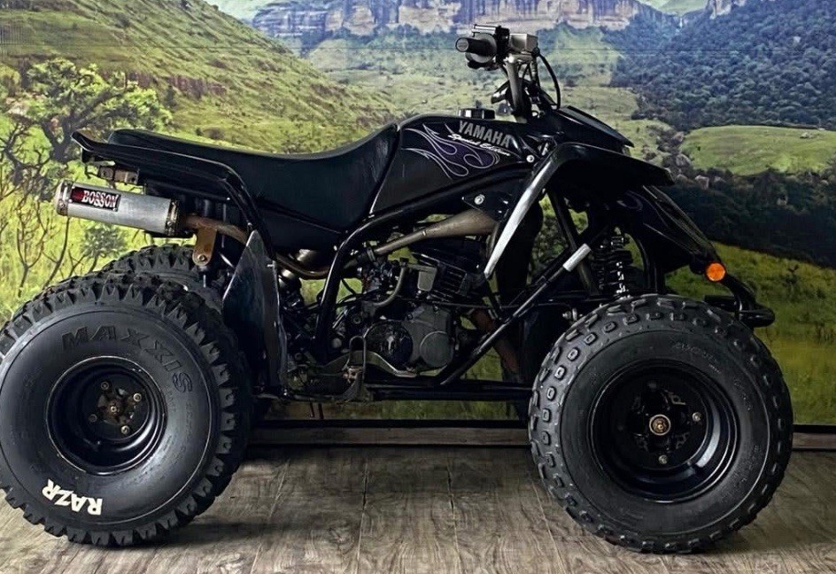 Yamaha Blaster 2006 Special Edition Graphics Decals ?