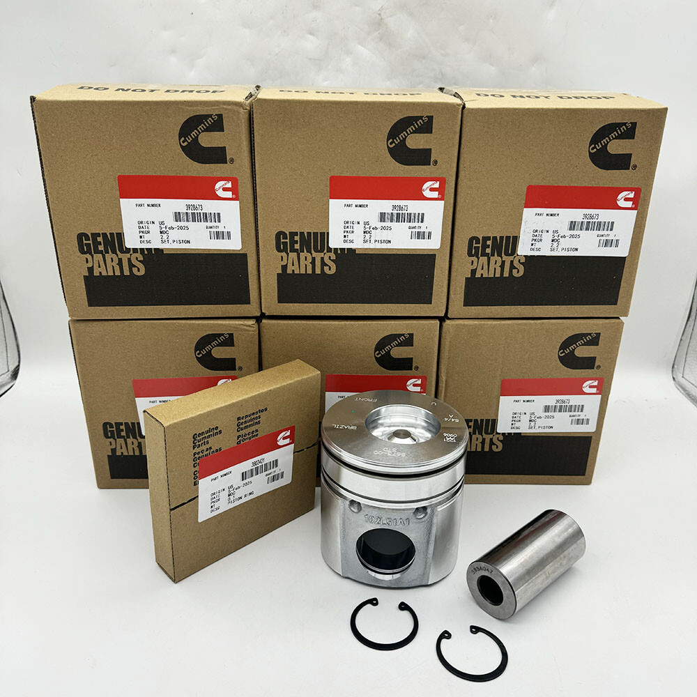 6X Pistons Rings Kit For Dodge Cummins 6BT 5.9L 12V 94-98 3928673 Standard STD