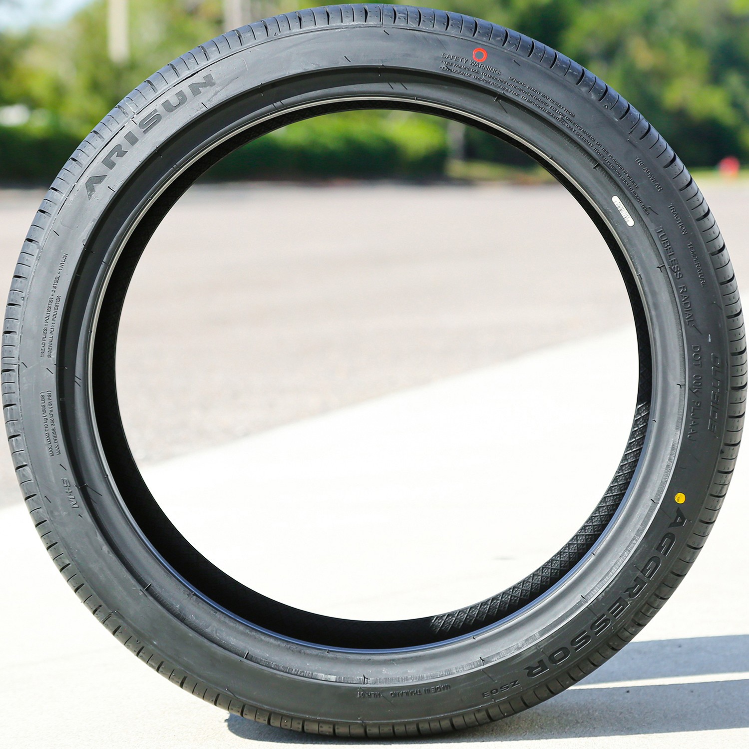 Arisun Aggressor ZS03 205/45R17 ZR 88W XL All Season Performance Tire 460AA