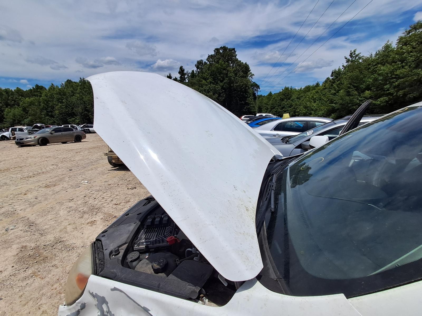 Used Front Right Door Assembly Front fits: 2015 Chevrolet Equinox Front Right Gr
