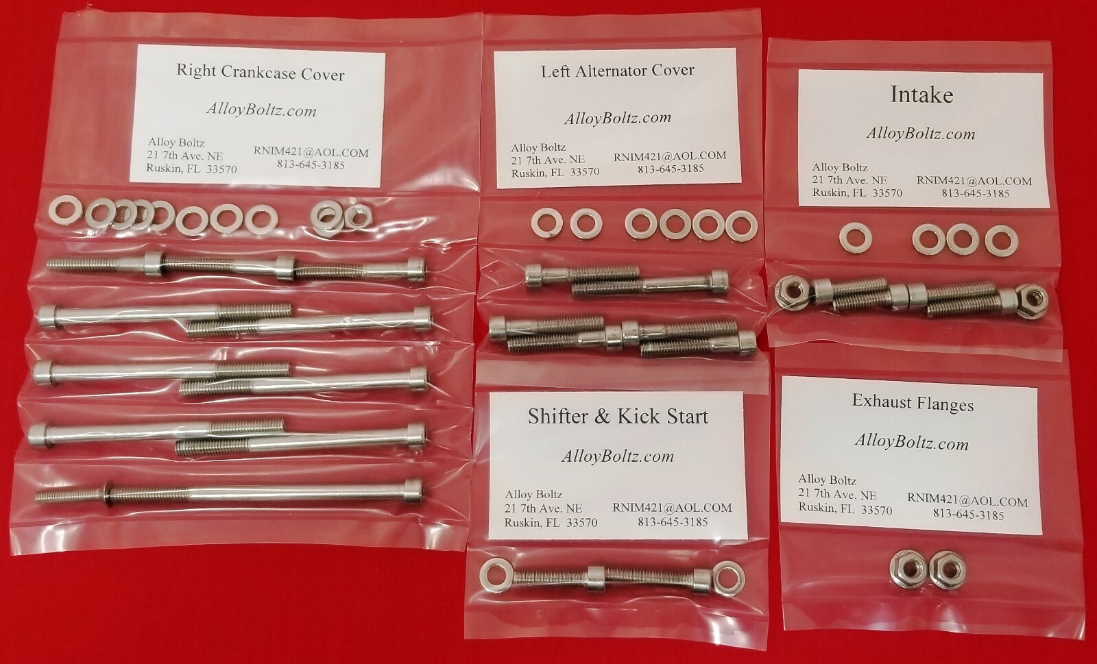 HONDA 1981-2003 XR100 XR100R POLISHED STAINLESS STEEL ENGINE BOLT SCREW KIT SET