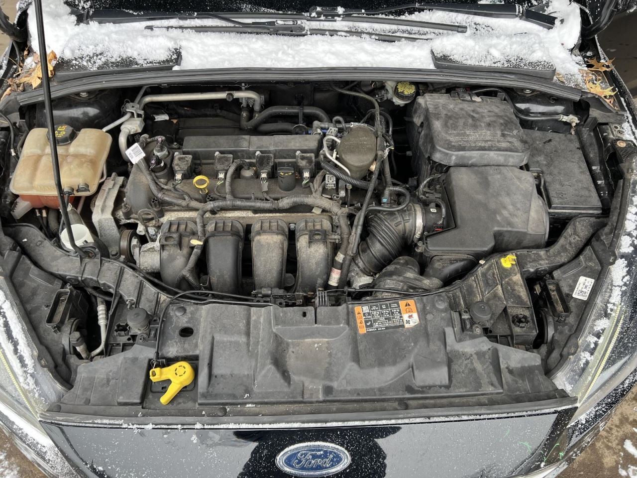 (LOCAL PICKUP ONLY) Driver Front Door Electric Windows Automatic Down Only Fits