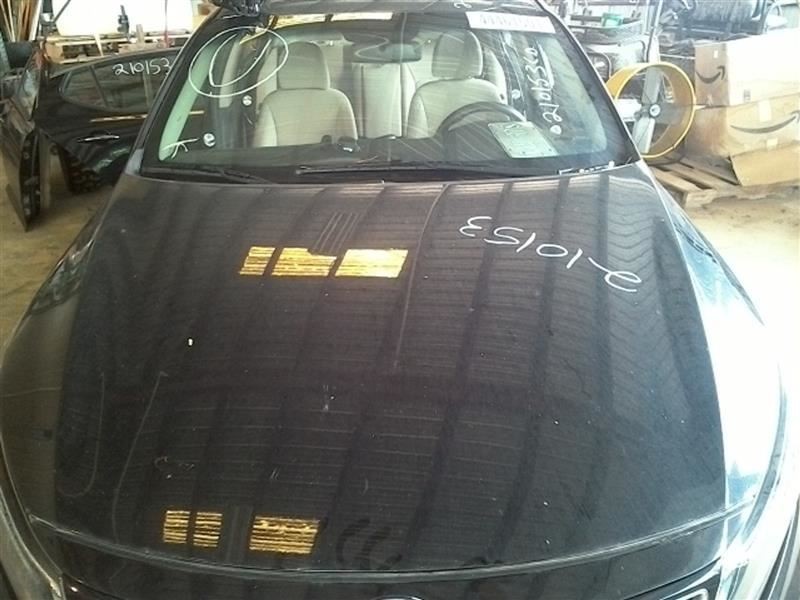 OPTIMAKIA 2015 Dash Bezel 618915