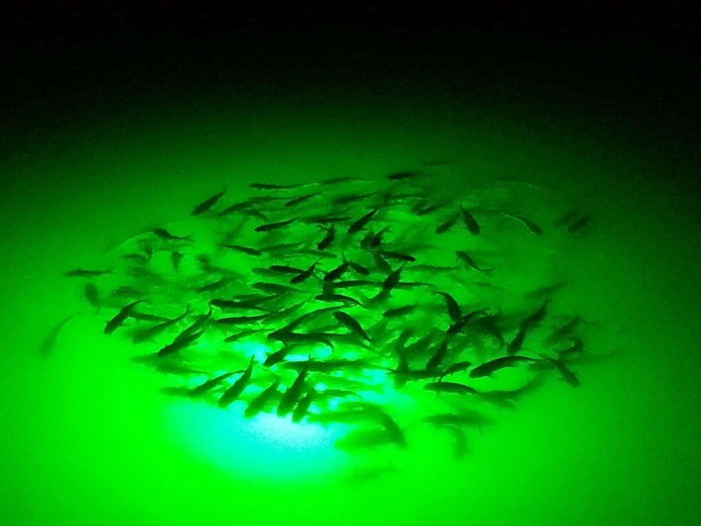 GREEN LED Boat Light Deck Waterproof IP67 Bow Trailer Pontoon Lights Kit Marine