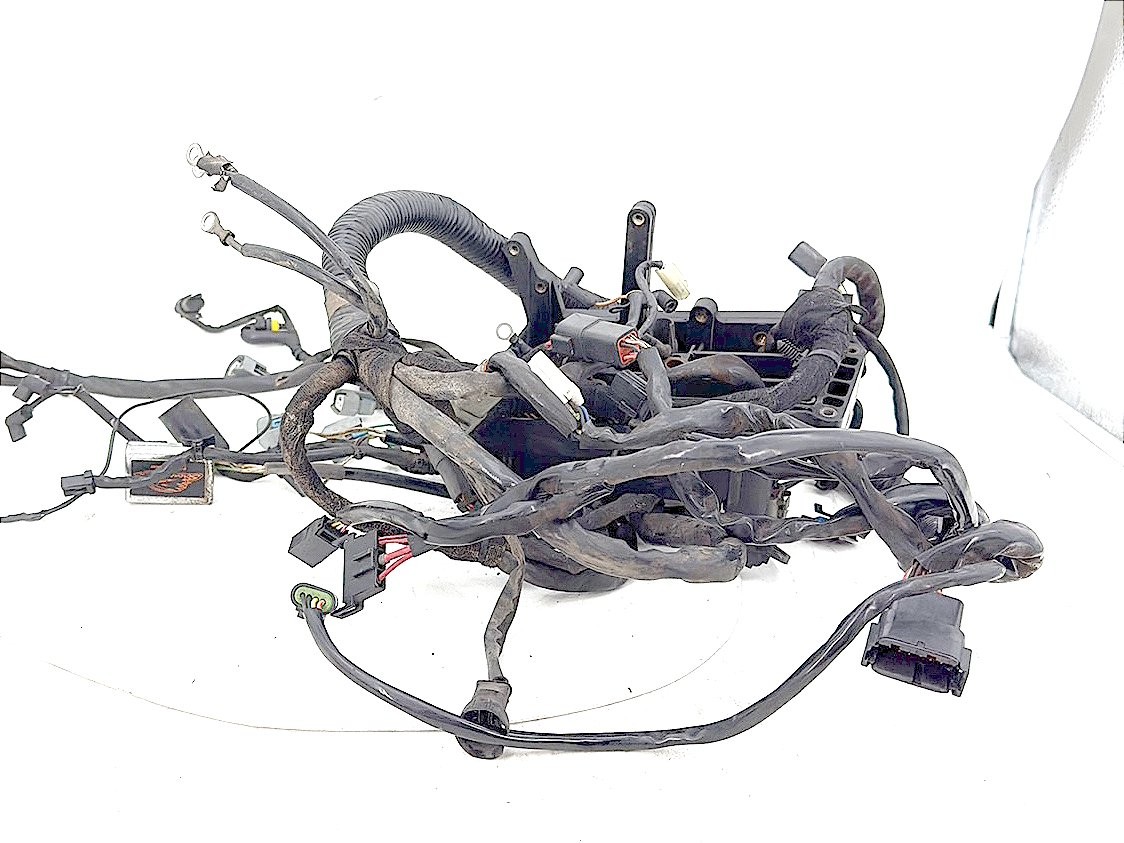 2006 Harley Dyna Super Glide Custom FXDCI OEM Main Wire Wiring Harness Loom