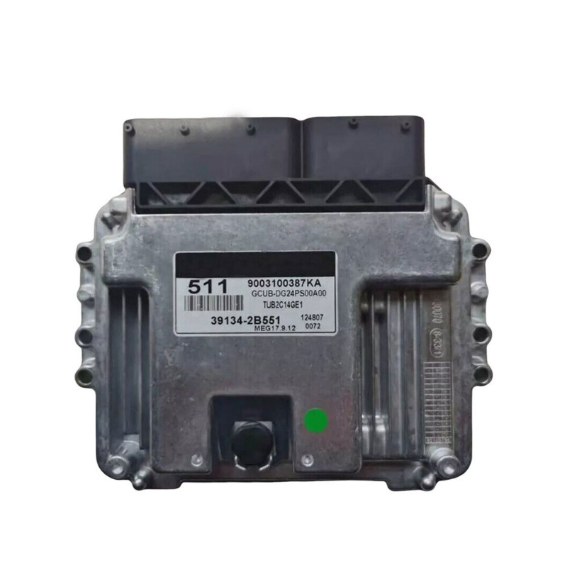 39134-2B551 Engine Car Electronic Control Unit ECU For KIA 511 MEG17.9.12 USA