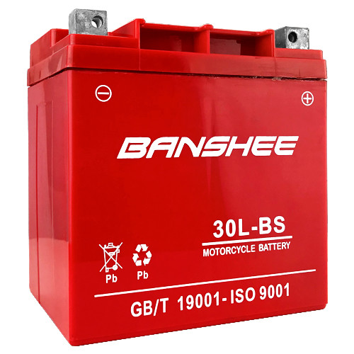 New 4 Year Warranty YTX30L-BS Battery for BRP (SEA-DOO) 1500 GTX 4-Tec 2006