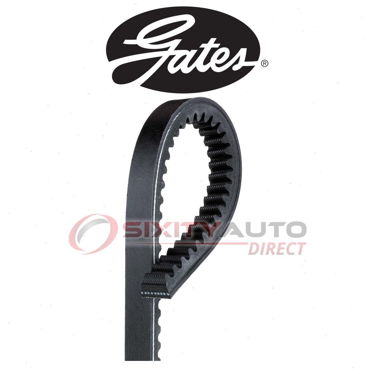 Gates Green Stripe TR24365 Accessory Drive Belt for Z8275H V1091038 T24365 lx