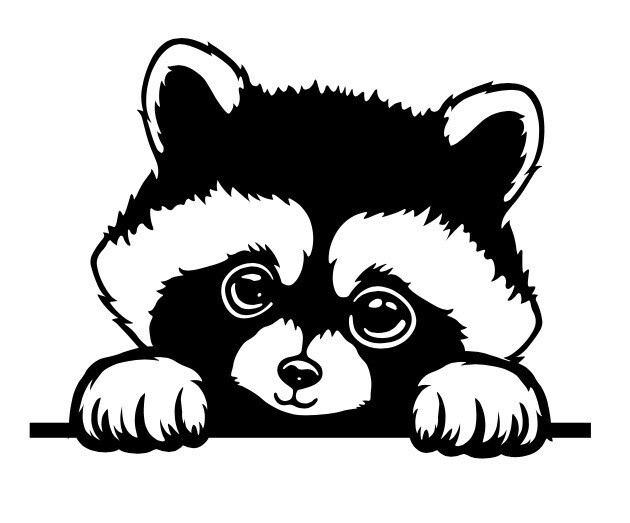 Peeking Animals – Raccoon 2024 Die cut Decal Vinyl Sticker Free Shipping