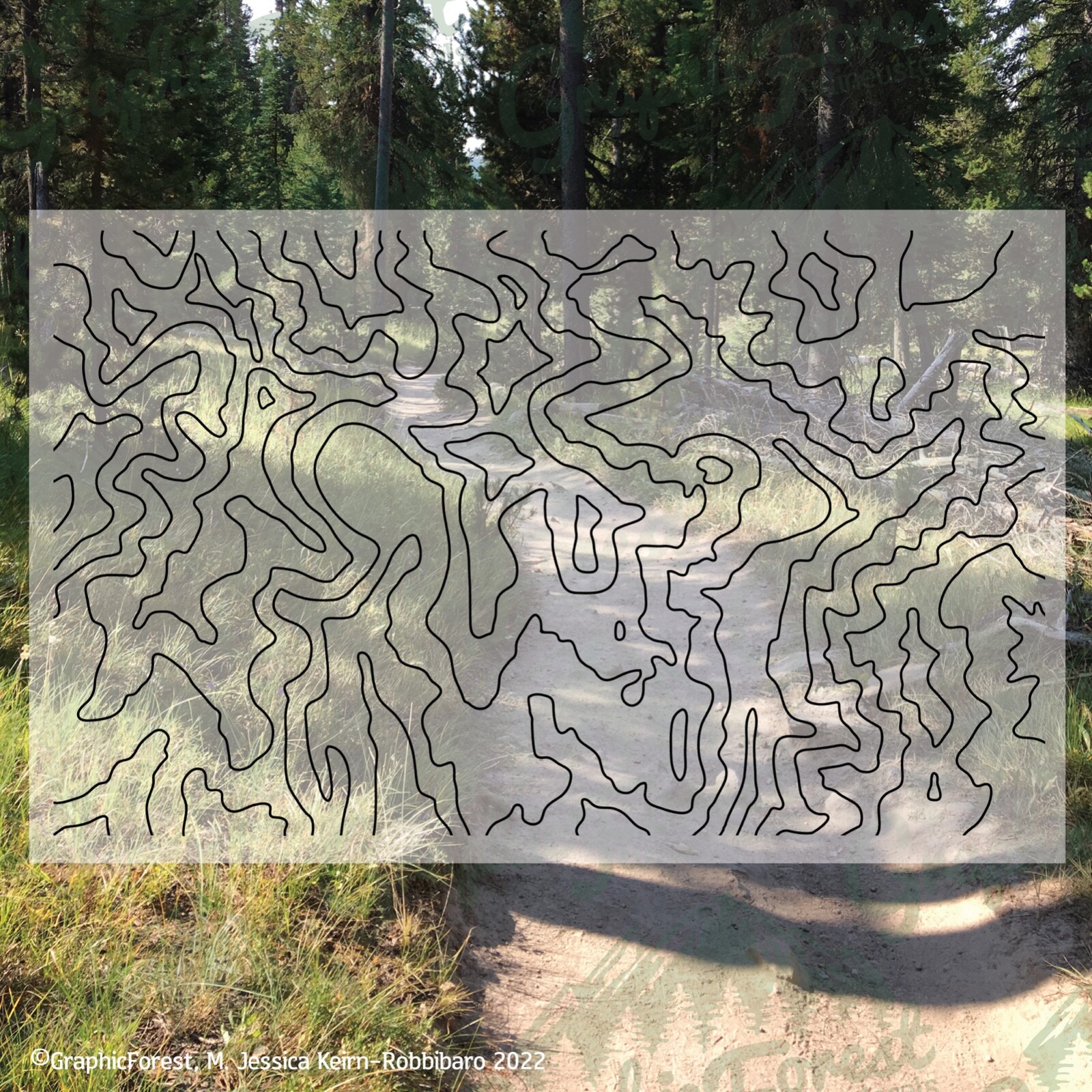 28.5×17 inch Topographic Map Decal