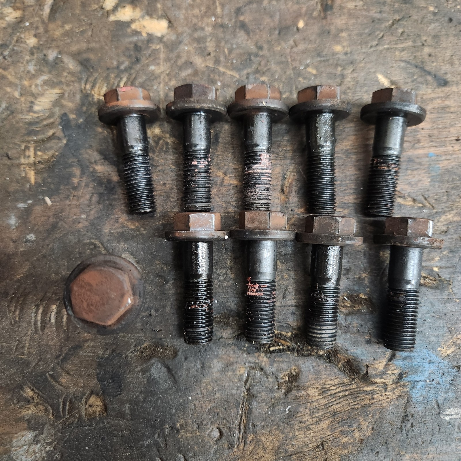 95-04 TOYOTA TACOMA 2.4L 2RZ FLYWHEEL BOLT SET (10) OEM MANUAL TRANSMISSION