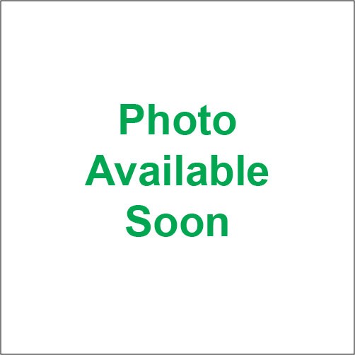 Jt Sprockets JTF1503.13 Steel Front Sprocket – 13T (Natural)