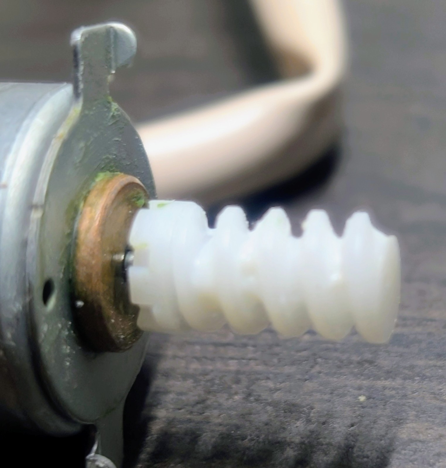 Ford Odometer Gear (PRE-GREASED) – Mustang/F150/Crown Victoria/Explorer/and More