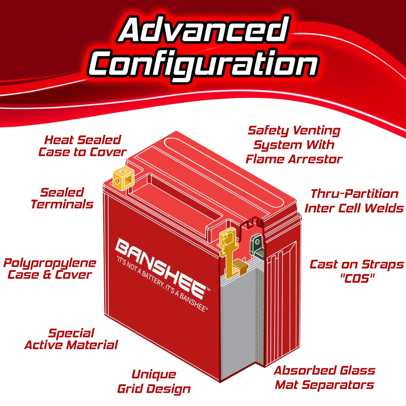 YT12B-BS12V Maintenance Free Sealed Battery for Ducati Kawasaki, 4 YEAR WARRANTY