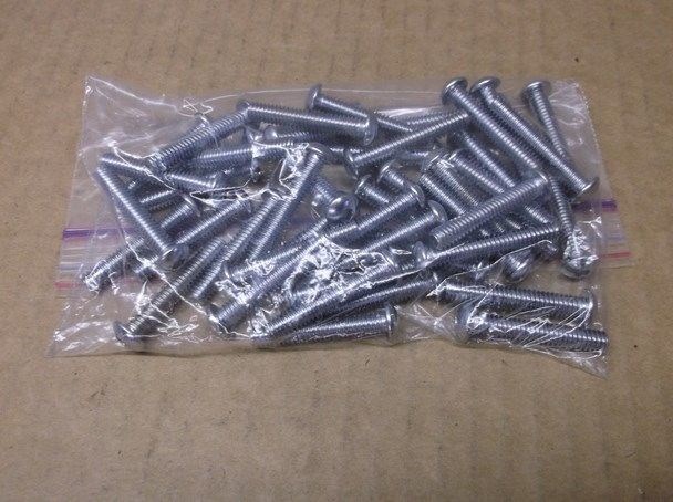 Bag of +/- 40 Chrome/ Polished 1/4-20 x 1.5″ Long Allen Head Screws