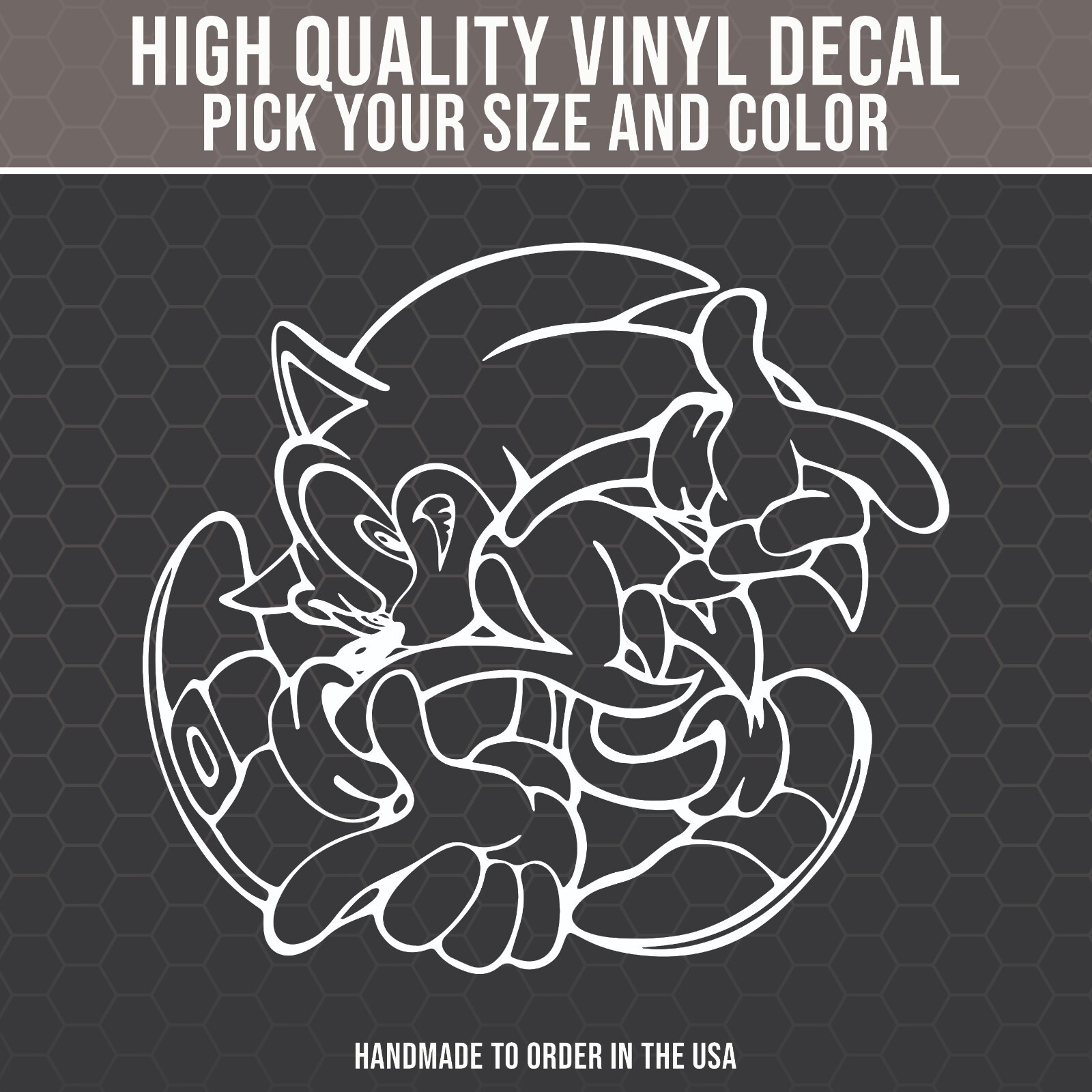 Sonic Adventure Decal for Car, Gotta go Fast, JDM Decal, Video Game Decal