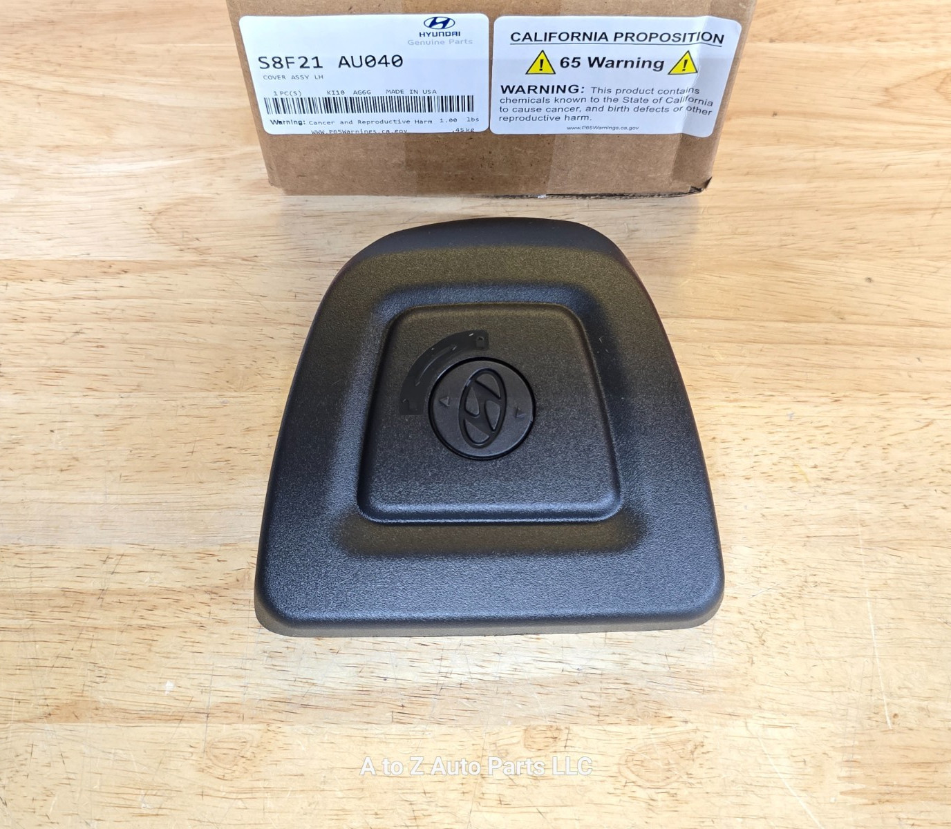 NEW 2020-2023 Hyundai Palisade (LH) Driver Side Crossbar Rail End COVER, OEM