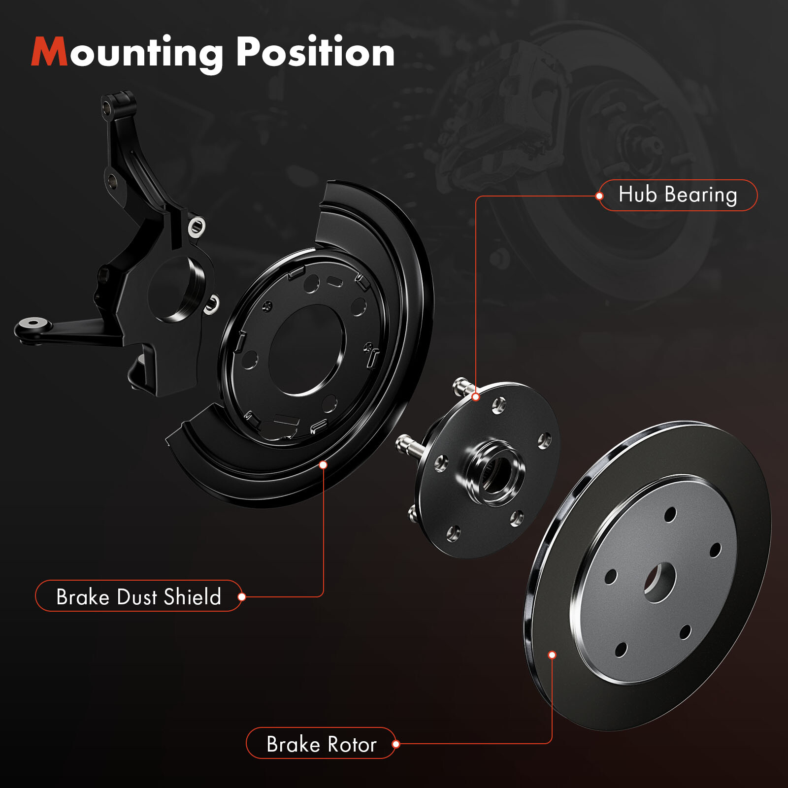 2x Front / Rear Brake Dust Shield for Mercedes-Benz C230 C250 C300 C350 C63 AMG