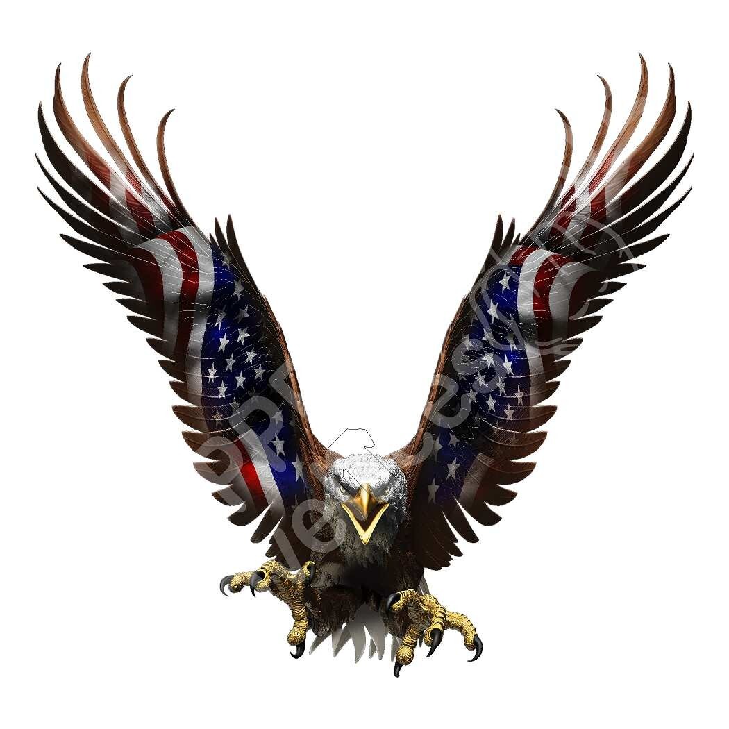 Patriotic American Eagle Straight Vinyl Sticker,Cars Trucks Vans Walls Laptop La