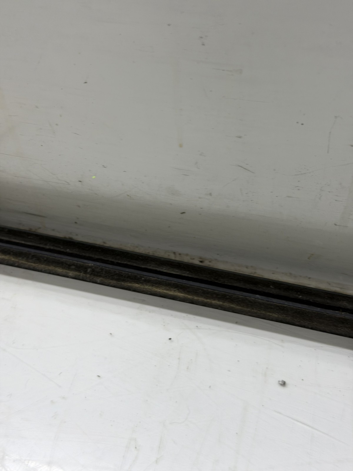 2016-2023 Nissan Maxima OEM Left Front Exterior Door Outer Window Belt Molding