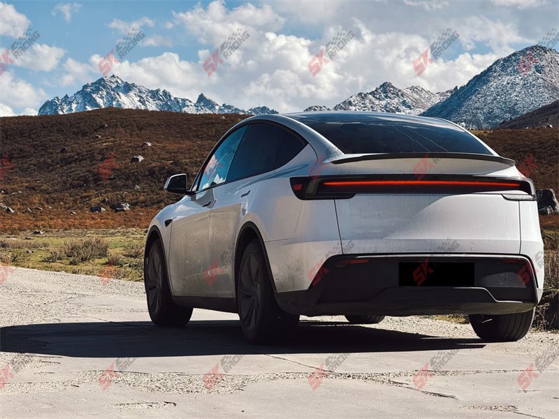 Glossy/Matte Dry Twill Carbon Fiber Rear Trunk Spoiler Wing For Fits Tesla 3 24+