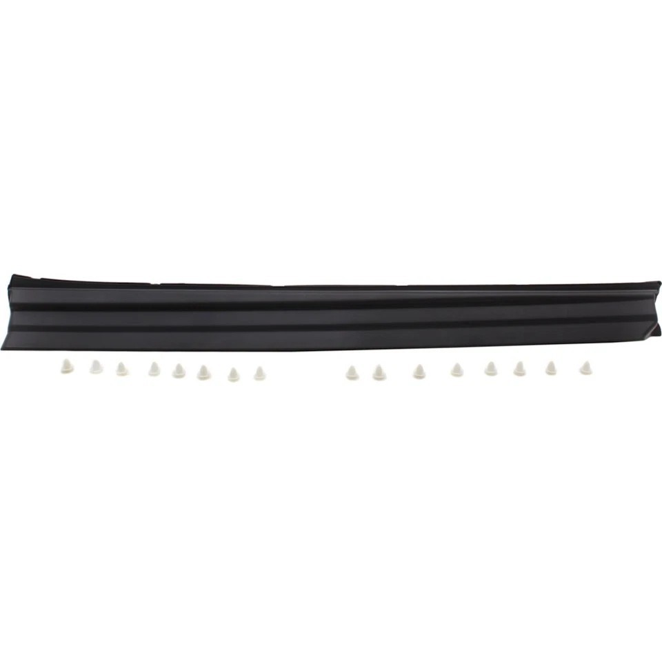 Front Driver & Passenger Side Lower Pair Door Molding and Beltlines Set of 2