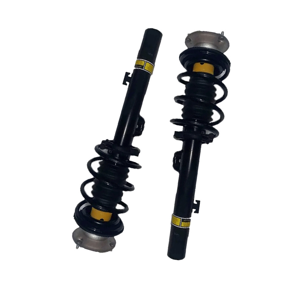 2 FRONT Struts Assys For BMW E90 E92 335i 328i X-DRIVE 330xi 325xi 31316773255