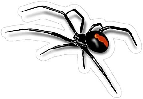 Redback Spider Black Widow Decal Sticker – Sticker Graphic – Auto, Wall, Laptop