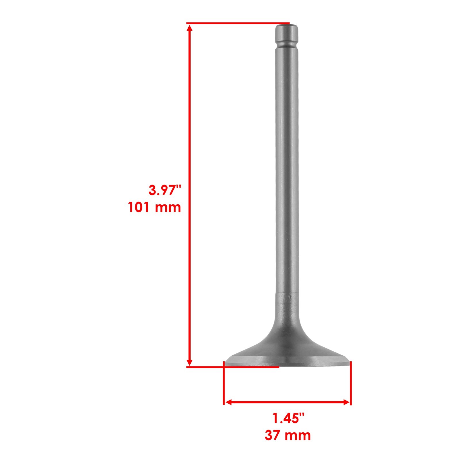 Caltric Intake & Exhaust Valve Kit For Kawasaki Bayou 300 KLF300 4×4 1986-2005