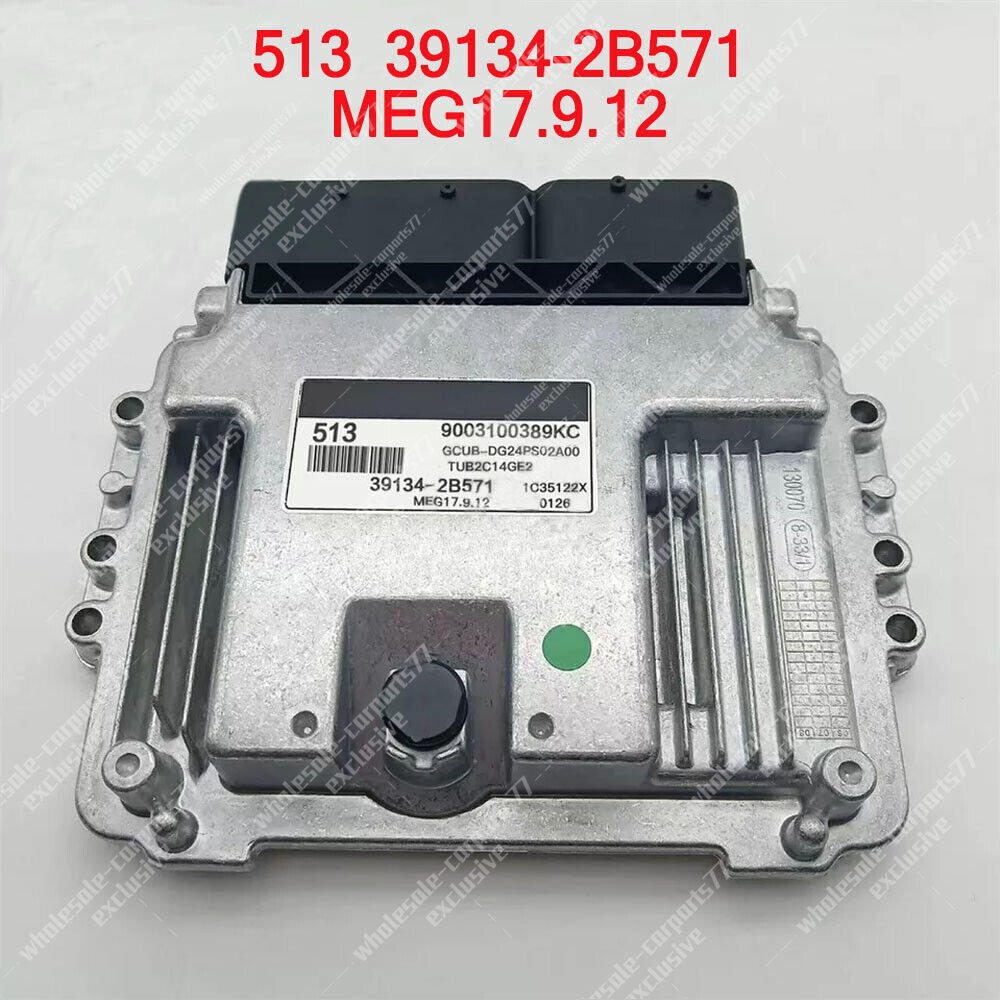 Fit For KIA Hyundai Car Engine Computer Board ECU 513 39134-2B571 MEG17.9.12