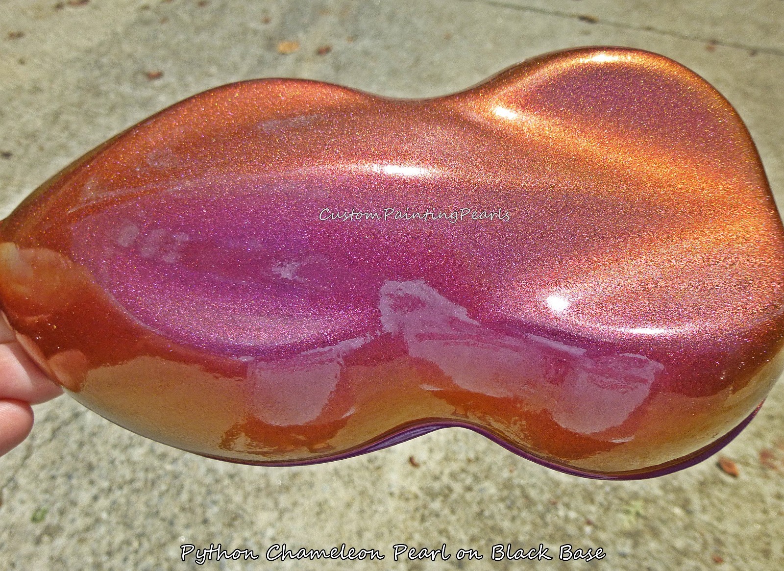 Python Color Shift Pearl Pigment Clear Black Auto Lacquer Matte Paint