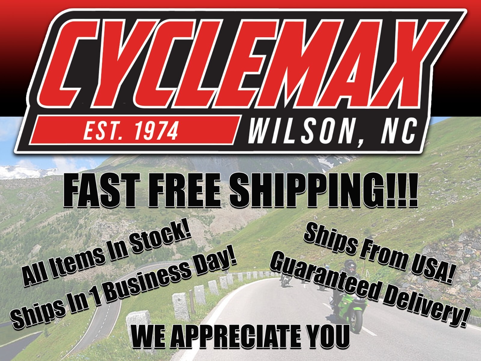 10 Pack Kawasaki OEM Oil Filter 16097-0008
