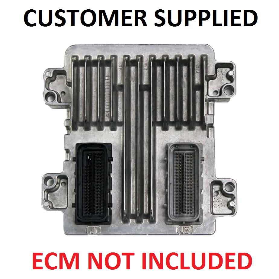 GM ECM PCM Cloning Service  E39/E39A, E37, E38, E67, E78, E87, E92.